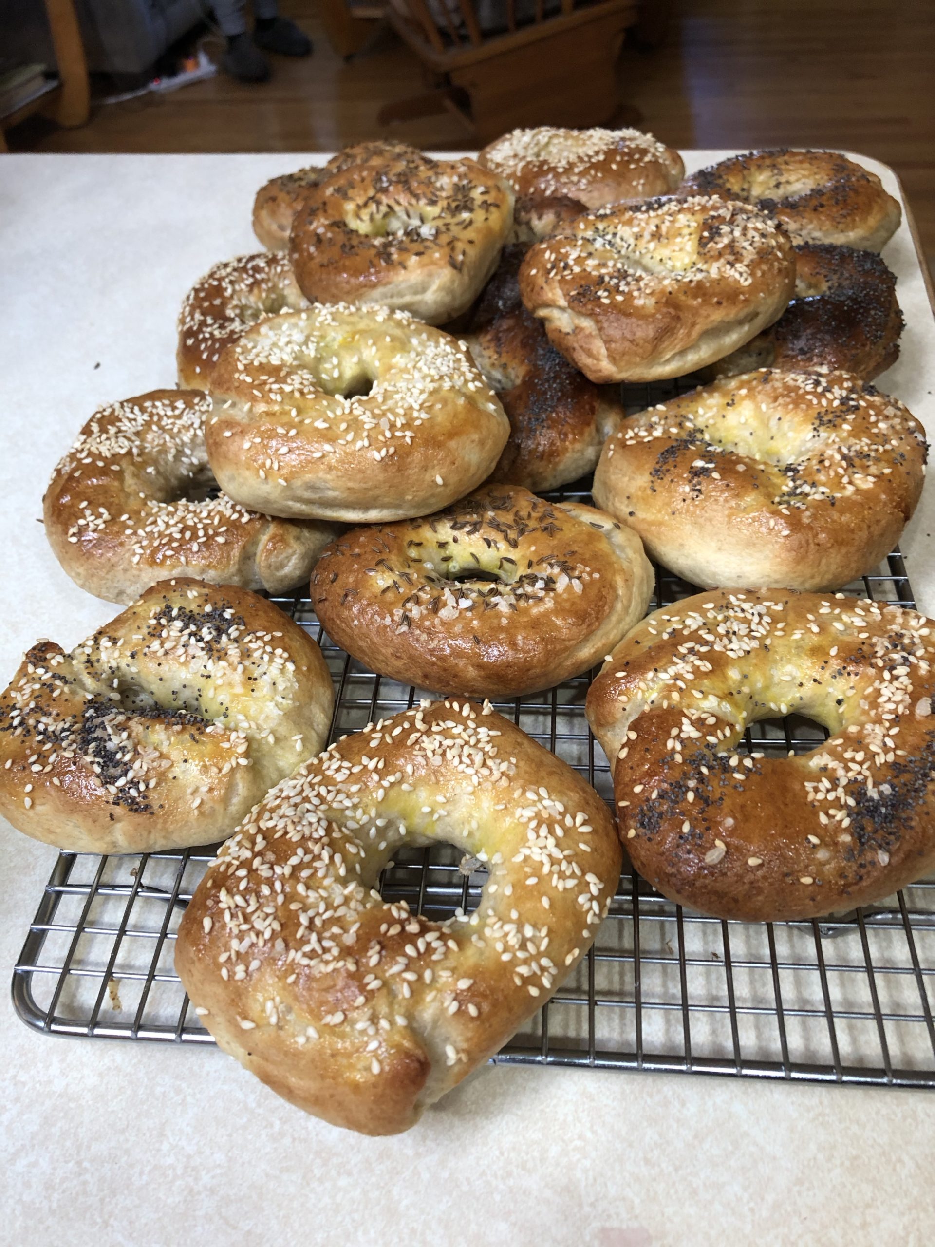 Sheryl's Bagel History BagelsfromNH